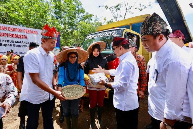 kebun 039kopi lanang039 banyuwangi kembali ekspor robusta ke italia