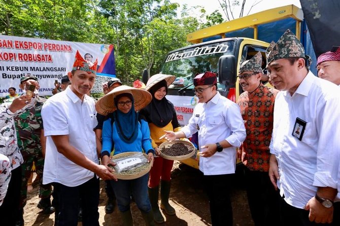 kebun 039kopi lanang039 banyuwangi kembali ekspor robusta ke italia