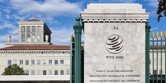 Indonesia Gugat Uni Eropa ke WTO Soal Diskriminasi Kelapa Sawit