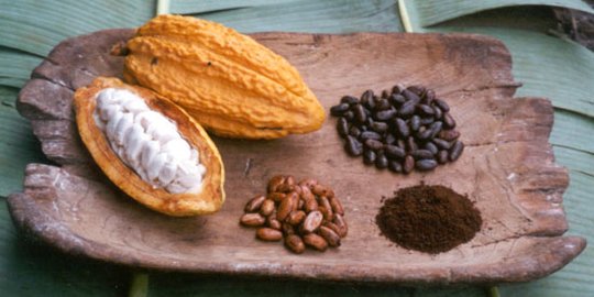 8 cara menurunkan gula darah dengan cara alami