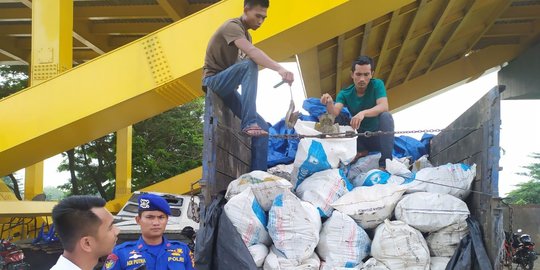 6.000 Satwa Lindung Belangkas Berusaha Diselundupkan ke Luar Negeri