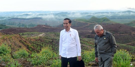 Gaya Jokowi Tinjau Ibu Kota Baru di Sepaku