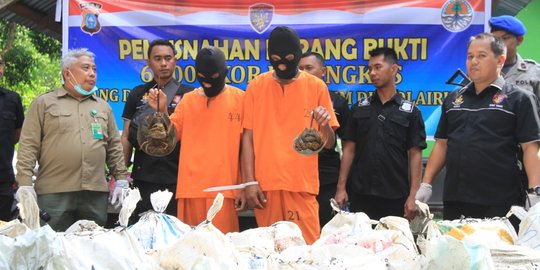 Dua Pria asal Sumut Diupah Rp6 Juta Selundupkan 6.000 Belangkas ke Malaysia