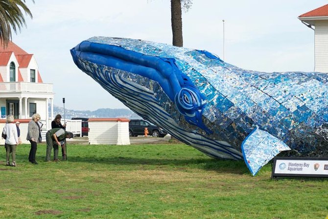 guinness world record