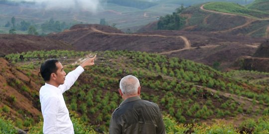 Keunggulan Ibu Kota Baru Versi Jokowi: 30 Menit dari Balikpapan, Lokasi Dekat Teluk