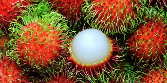 5 Manfaat Rambutan Bagi Kesehatan, Menjaga Sistem Imun Tubuh