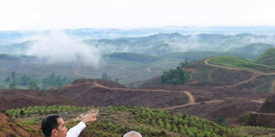 otorita ibu kota awal januari rev1