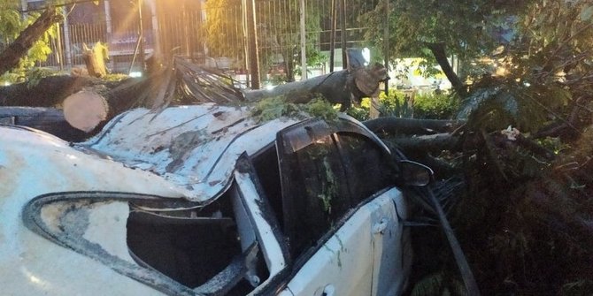 Tiga Mobil Tertimpa Pohon Tumbang Usai Hujan Lebat di Bandung