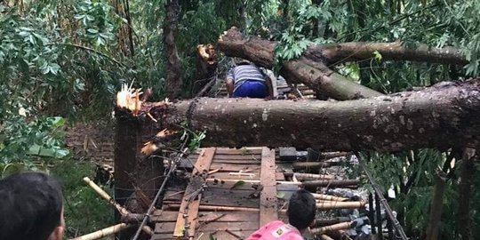 Angin Puting Beliung Terjang Karawang, Rumah Warga Rusak dan Pohon Tumbang