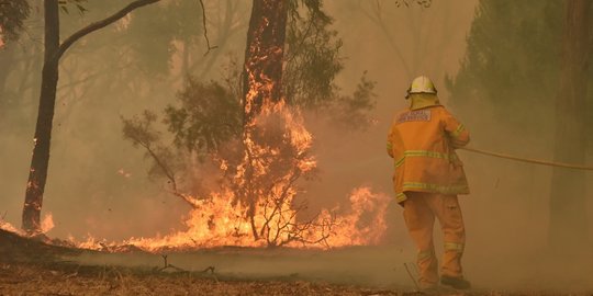 Kebakaran Hutan Masih Parah, Australia Ingatkan Wisatawan agar Tunda Liburan Natal