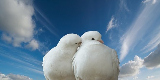 romantis agar pasangan makin cinta rev4