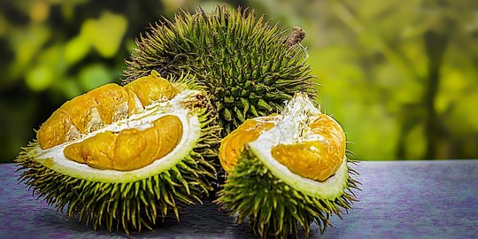 Bisa Meningkatkan Kesuburan, Ini 6 Manfaat Durian Bagi Kesehatan