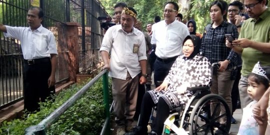 Liburan Bareng Cucu ke KBS, Risma Titip Pesan ke Petugas di Kandang Harimau