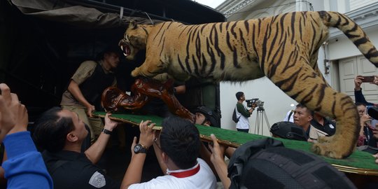 Geledah Rumah Pengemudi Lamborgini 'Koboi', Polisi Sita Hewan Langka