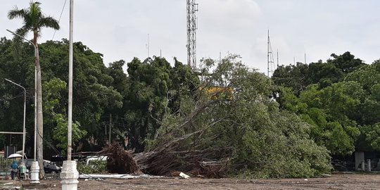 Belasan Pohon di Keraton Solo Tumbang Rusak Warung dan Musala