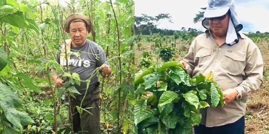 5 Potret Terbaru Susno Duadji, Pensiunan Jenderal Polri Jadi Petani di Kampung