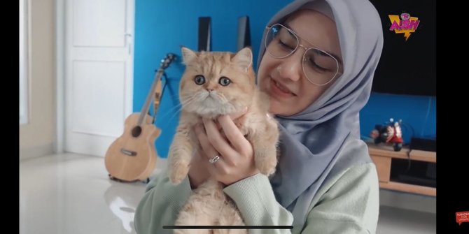 Ammar Zoni Dan Irish Bella Beli Kucing Mahal Seharga Motor Asal