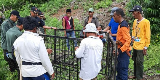 Pemprov Sumsel Bentuk Satgas Khusus Cegah Serangan Harimau Terulang