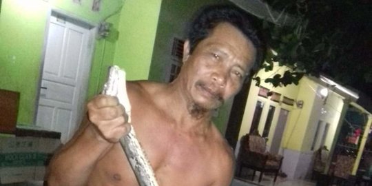 Lagi Mandi, Warga di Karawang Berteriak Didatangi Ular Sanca Sepanjang 4 Meter