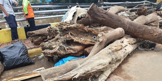 57 truk angkut sampah kali ciliwung, banyak kayu gelondongan