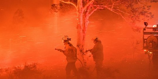 Video Mendebarkan Tim Pemadam Kebakaran Australia Dikejar Kobaran Api Kebakaran Hutan