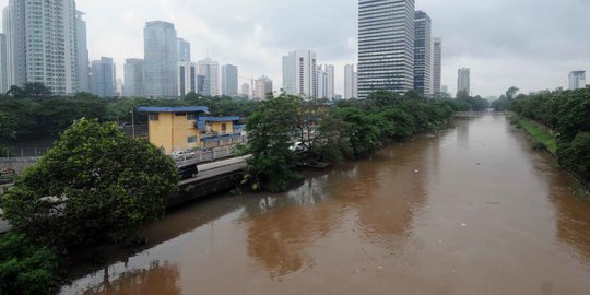 Sodetan Ciliwung Bisa Selesai 6 Bulan Jika Pembebasan Lahan Sudah Rampung