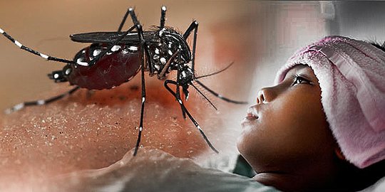 berdarah dengue