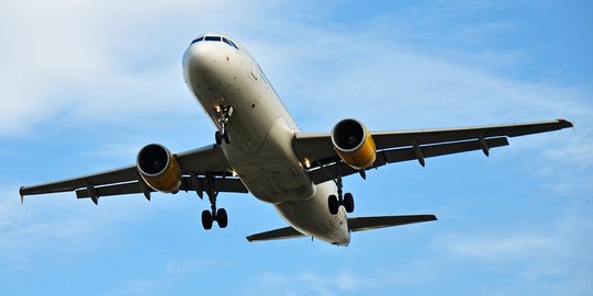 Pesawat Boeing 737 Jatuh di Iran, Seluruh 176 Penumpang Tewas