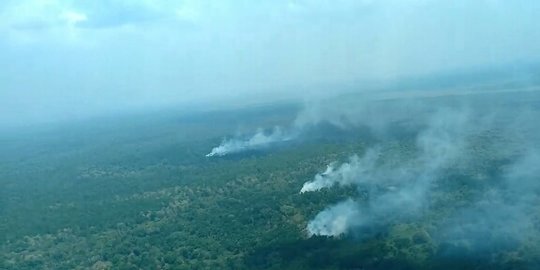 4 Bulan Berlalu, Apa Kabar Penanganan Kasus Kebakaran Hutan di Riau