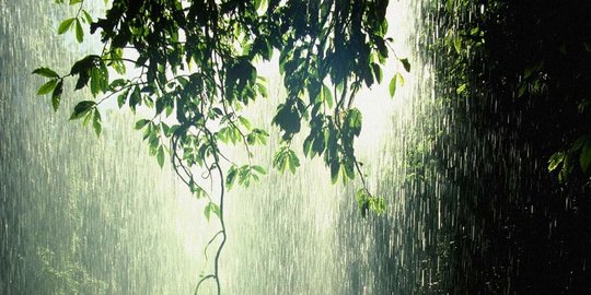 BMKG Prediksi Hujan Disertai Angin dan Kilat Terjadi di Jakarta Hari Ini