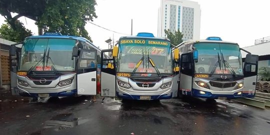8 Bus di Solo Dilempari Batu Orang Tak Dikenal, Kaca Pecah Hingga Sopir Terluka  Aksi