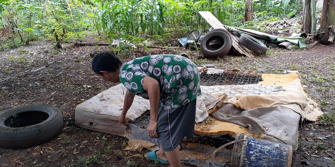 Ular Sanca Sepanjang 3 Meter Sembunyi di Kasur Nenek Rohimah