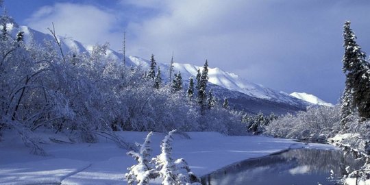 rumahnya terbakar, pria ini bertahan hidup tiga pekan di hutan alaska yang membeku