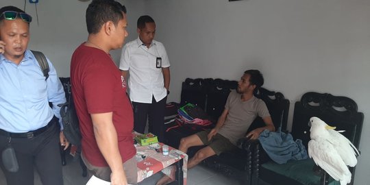 Pelihara Satwa Dilindungi, 3 Pria di Sumut Ditangkap Polisi