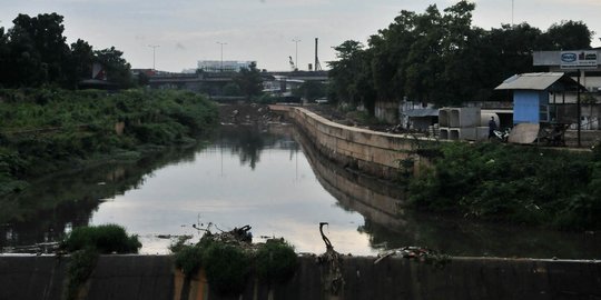 Dalam Jangka Panjang, Sodetan Ciliwung Dinilai Tak Ramah Lingkungan