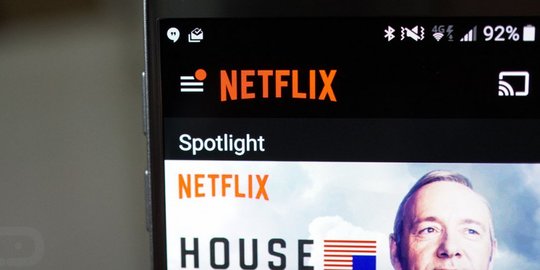 YLKI Minta Kemkominfo Desak Netflix Blokir Konten Negatif