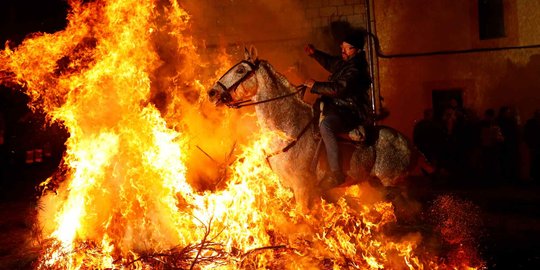 Ngerinya Ritual Berkuda Menembus Api di Spanyol