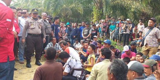 Eksekusi Kebun Sawit di Pelalawan Mendapat Perlawanan dari Ratusan Petani