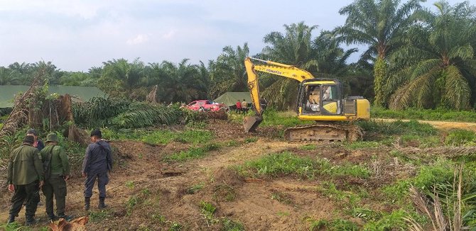 eksekusi kebun sawit di pelalawan