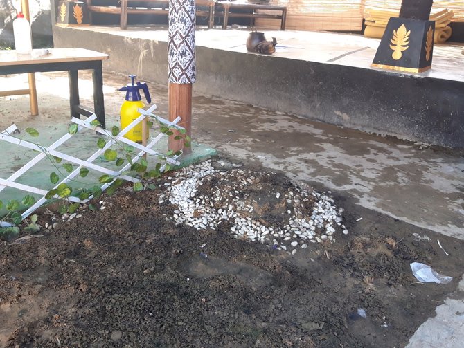 makam bayi di halaman rumah raja keraton agung sejagat