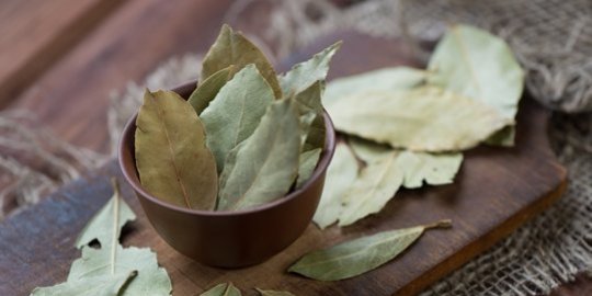 daun salam rev1