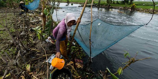 Berkah Luapan Kali Doser Bagi Pencari Ikan di Bekasi