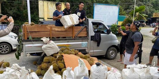 Polisi Gagalkan Penyelundupan Ganja Gunakan Truk Isi Durian