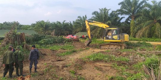 Berkekuatan Hukum, Eksekusi Lahan di Pelalawan Dinilai Tidak Bisa Diintervensi