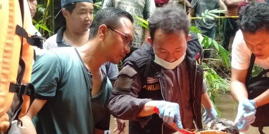 Diculik Sopir Angkot, Siswi SMA Rejang Lebong Ditemukan Tinggal Tengkorak