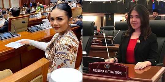 10 Penyanyi Ini Banting Setir jadi Politisi, dari Krisdayanti hingga Tina Toon