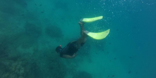 Menyelam di Perairan Gili Meno Lombok, Turis Finlandia Tewas Terseret Arus