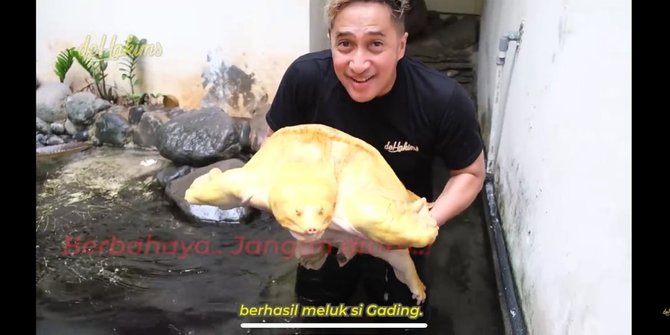 Cari Irfan Hakim Rss News Id