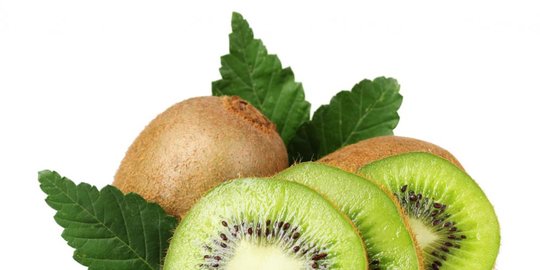 dan kiwi rev1