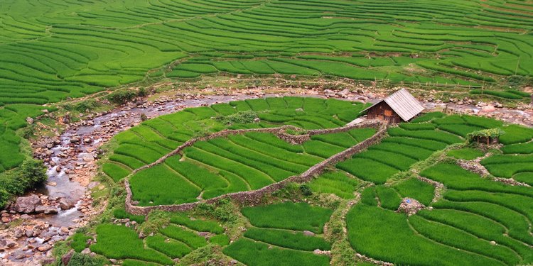 Tingkatkan Bisnis Pertanian Rakyat Pemerintah Konsolidasikan Lahan Sempit Merdeka Com
